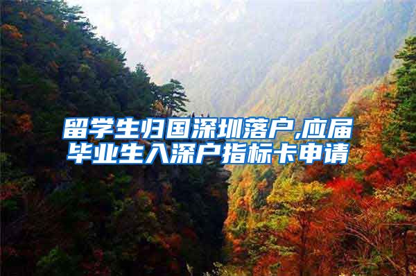 留学生归国深圳落户,应届毕业生入深户指标卡申请