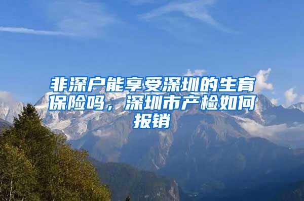 非深户能享受深圳的生育保险吗，深圳市产检如何报销