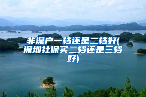 非深户一档还是二档好(深圳社保买二档还是三档好)