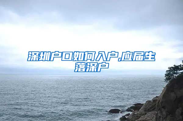 深圳户口如何入户,应届生落深户