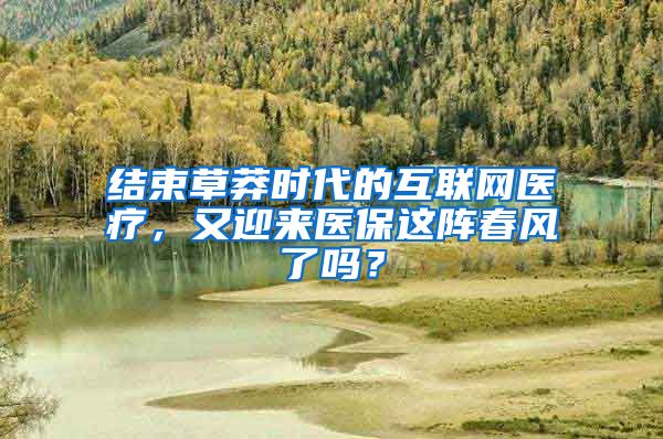 结束草莽时代的互联网医疗，又迎来医保这阵春风了吗？