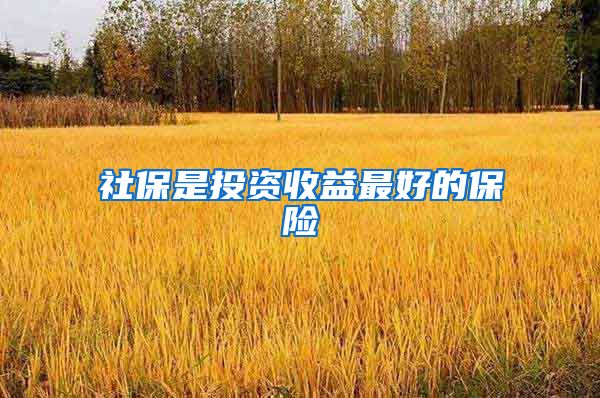 社保是投资收益最好的保险