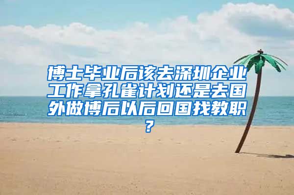 博士毕业后该去深圳企业工作拿孔雀计划还是去国外做博后以后回国找教职？
