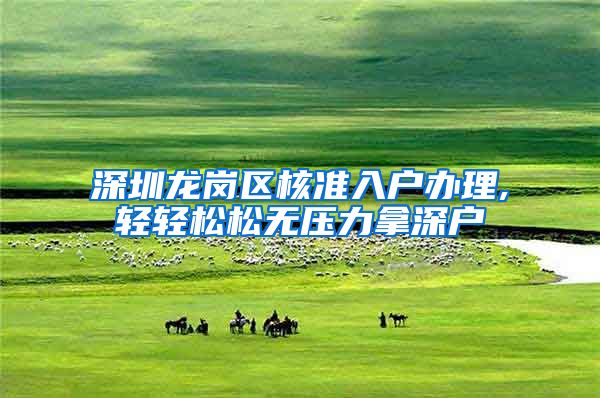 深圳龙岗区核准入户办理,轻轻松松无压力拿深户