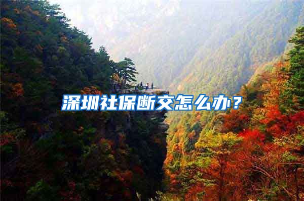 深圳社保断交怎么办？