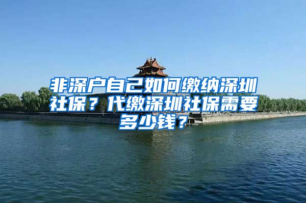 非深户自己如何缴纳深圳社保？代缴深圳社保需要多少钱？