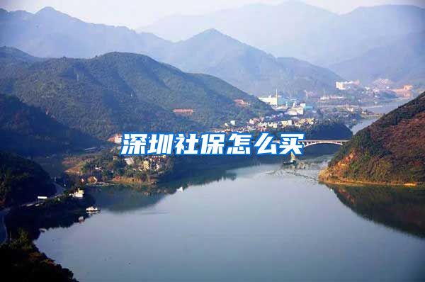 深圳社保怎么买