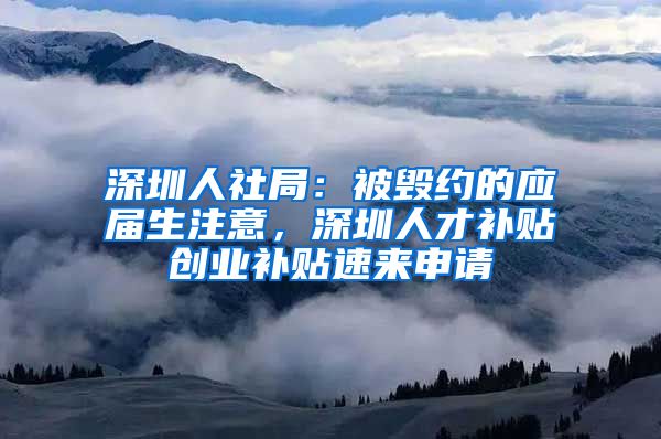 深圳人社局：被毁约的应届生注意，深圳人才补贴创业补贴速来申请