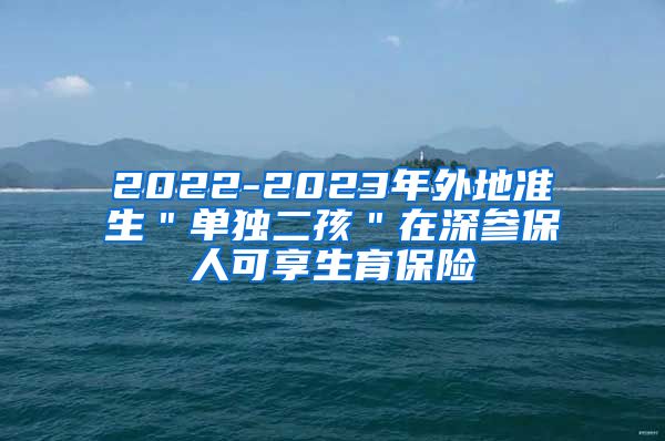 2022-2023年外地准生＂单独二孩＂在深参保人可享生育保险