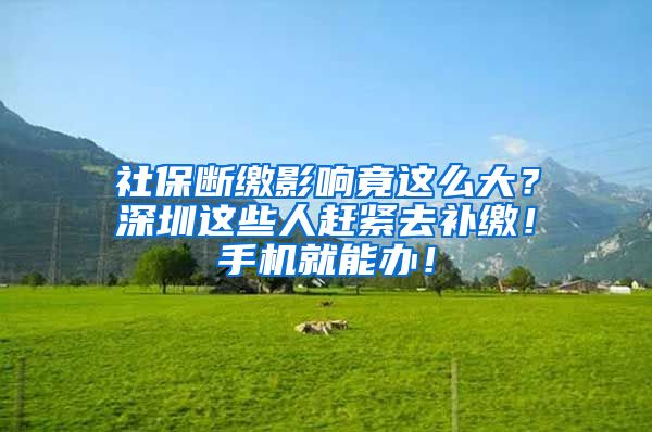 社保断缴影响竟这么大？深圳这些人赶紧去补缴！手机就能办！