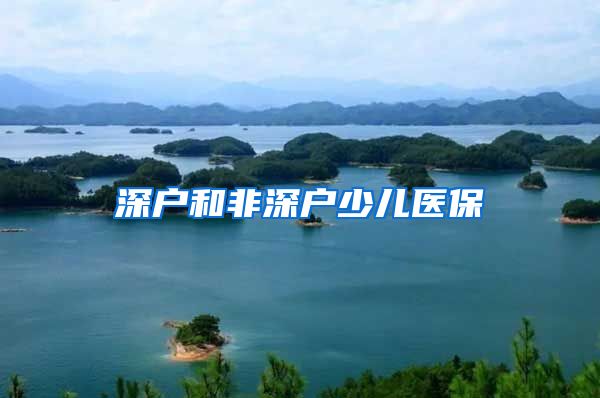 深户和非深户少儿医保