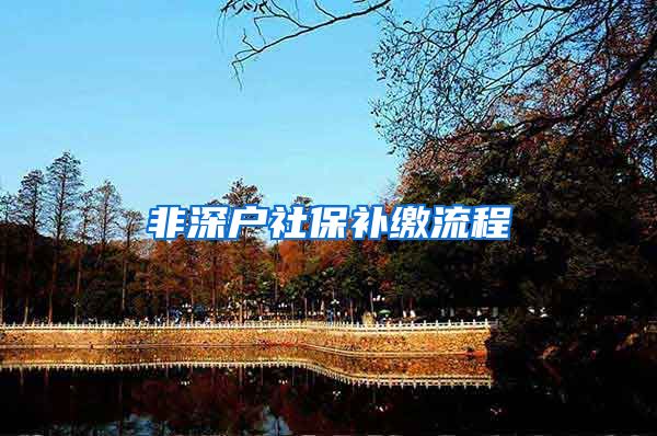非深户社保补缴流程