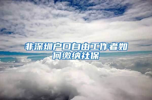 非深圳户口自由工作者如何缴纳社保