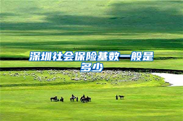 深圳社会保险基数一般是多少