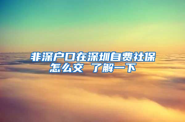 非深户口在深圳自费社保怎么交 了解一下