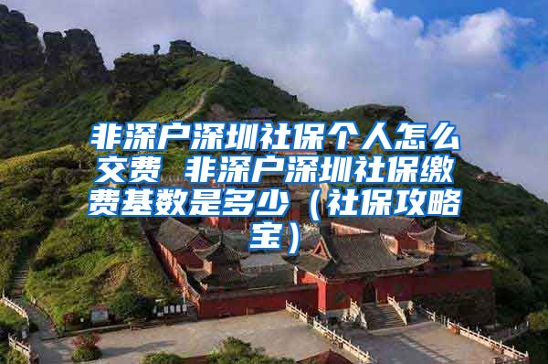 非深户深圳社保个人怎么交费 非深户深圳社保缴费基数是多少（社保攻略宝）