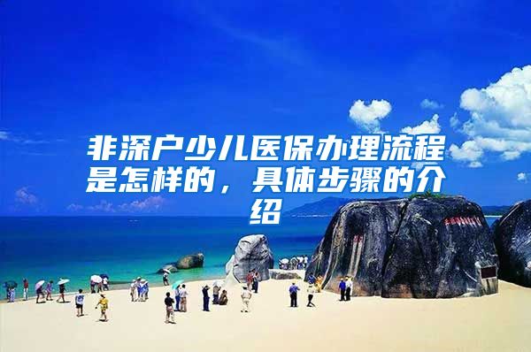 非深户少儿医保办理流程是怎样的，具体步骤的介绍