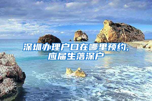 深圳办理户口在哪里预约,应届生落深户