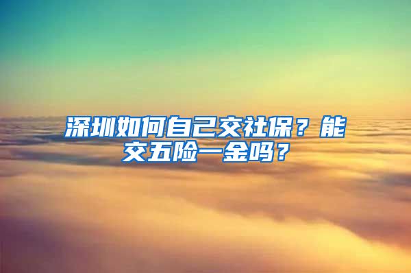 深圳如何自己交社保？能交五险一金吗？