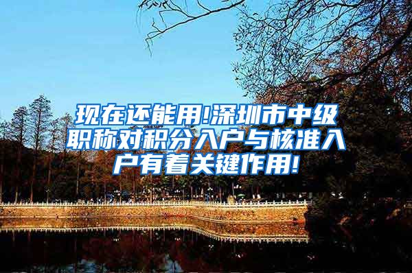 现在还能用!深圳市中级职称对积分入户与核准入户有着关键作用!