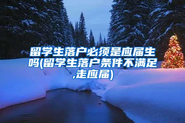 留学生落户必须是应届生吗(留学生落户条件不满足,走应届)
