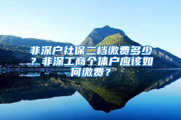 非深户社保二档缴费多少？非深工商个体户应该如何缴费？