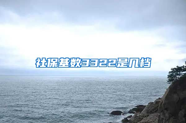 社保基数3322是几档