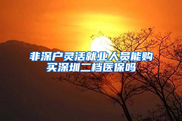 非深户灵活就业人员能购买深圳二档医保吗