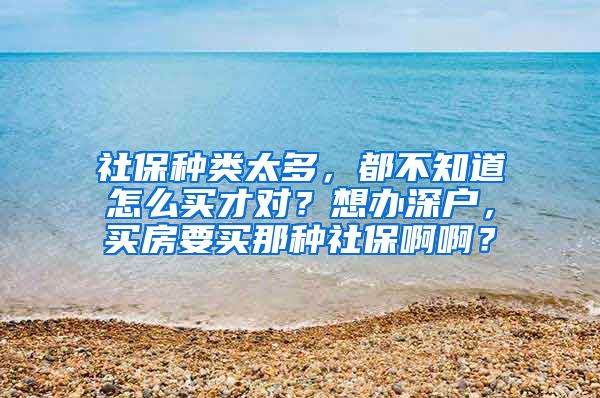 社保种类太多，都不知道怎么买才对？想办深户，买房要买那种社保啊啊？