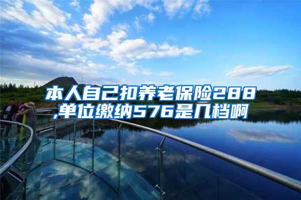 本人自己扣养老保险288,单位缴纳576是几档啊