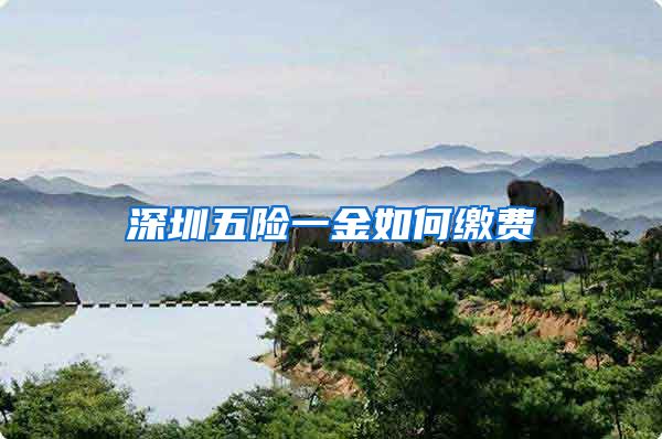深圳五险一金如何缴费