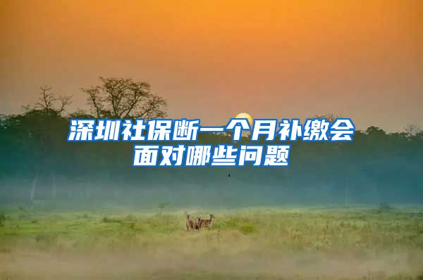 深圳社保断一个月补缴会面对哪些问题