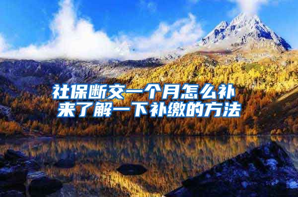 社保断交一个月怎么补 来了解一下补缴的方法
