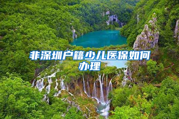 非深圳户籍少儿医保如何办理