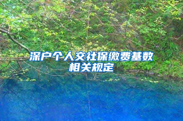 深户个人交社保缴费基数相关规定