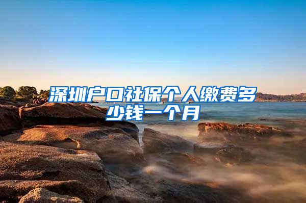 深圳户口社保个人缴费多少钱一个月