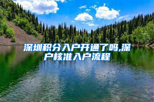 深圳积分入户开通了吗,深户核准入户流程