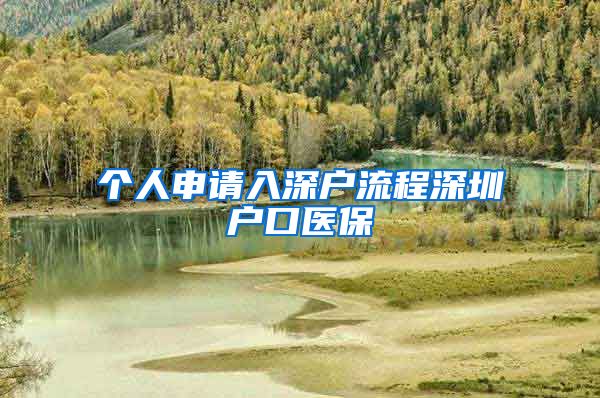 个人申请入深户流程深圳户口医保