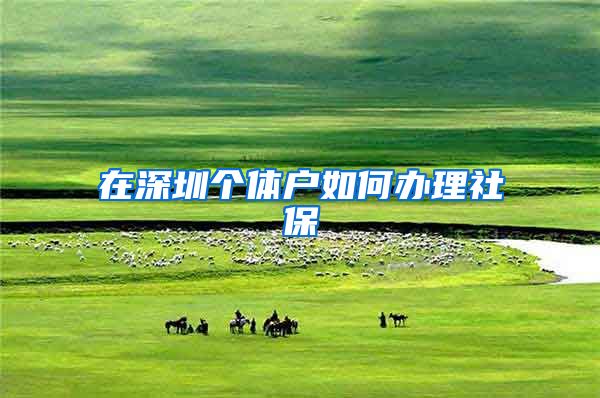 在深圳个体户如何办理社保