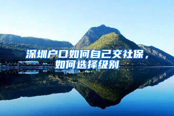 深圳户口如何自己交社保，如何选择级别