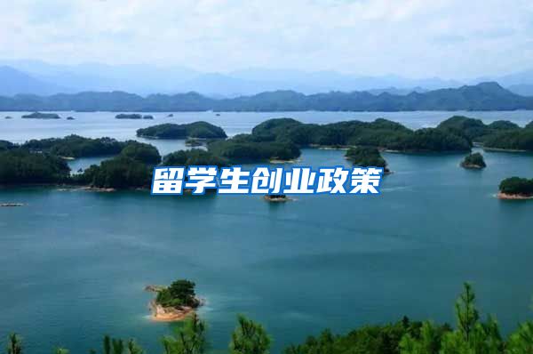 留学生创业政策