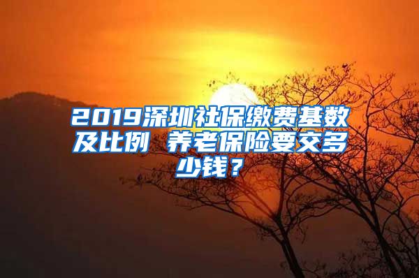 2019深圳社保缴费基数及比例 养老保险要交多少钱？