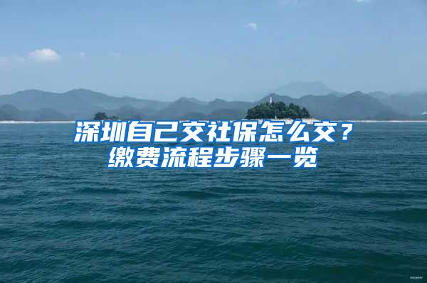 深圳自己交社保怎么交？缴费流程步骤一览