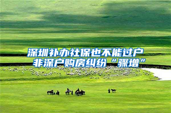 深圳补办社保也不能过户 非深户购房纠纷“骤增”