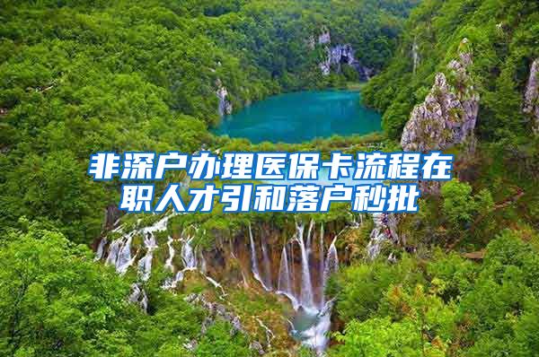 非深户办理医保卡流程在职人才引和落户秒批