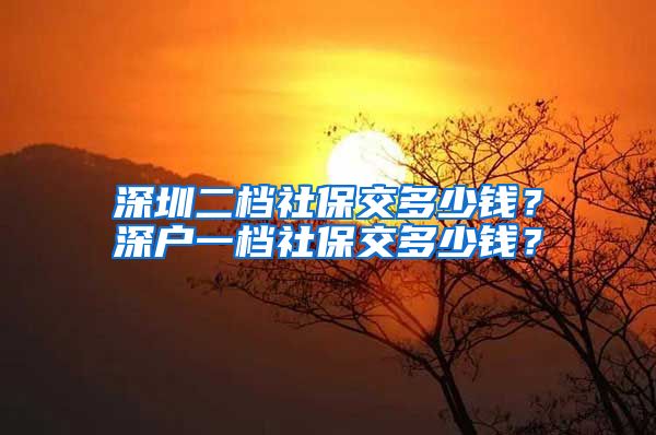 深圳二档社保交多少钱？深户一档社保交多少钱？