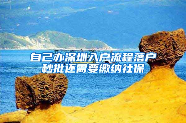 自己办深圳入户流程落户秒批还需要缴纳社保