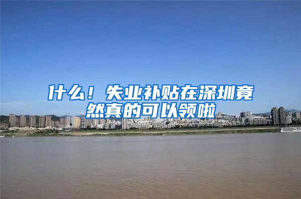 什么！失业补贴在深圳竟然真的可以领啦