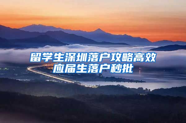 留学生深圳落户攻略高效应届生落户秒批