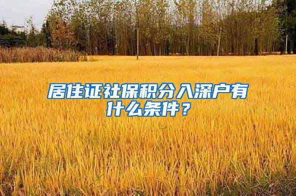 居住证社保积分入深户有什么条件？